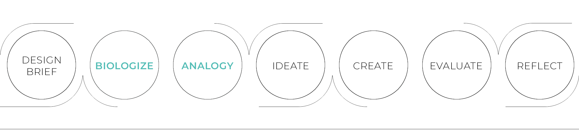 Biomimicry within Service Design process