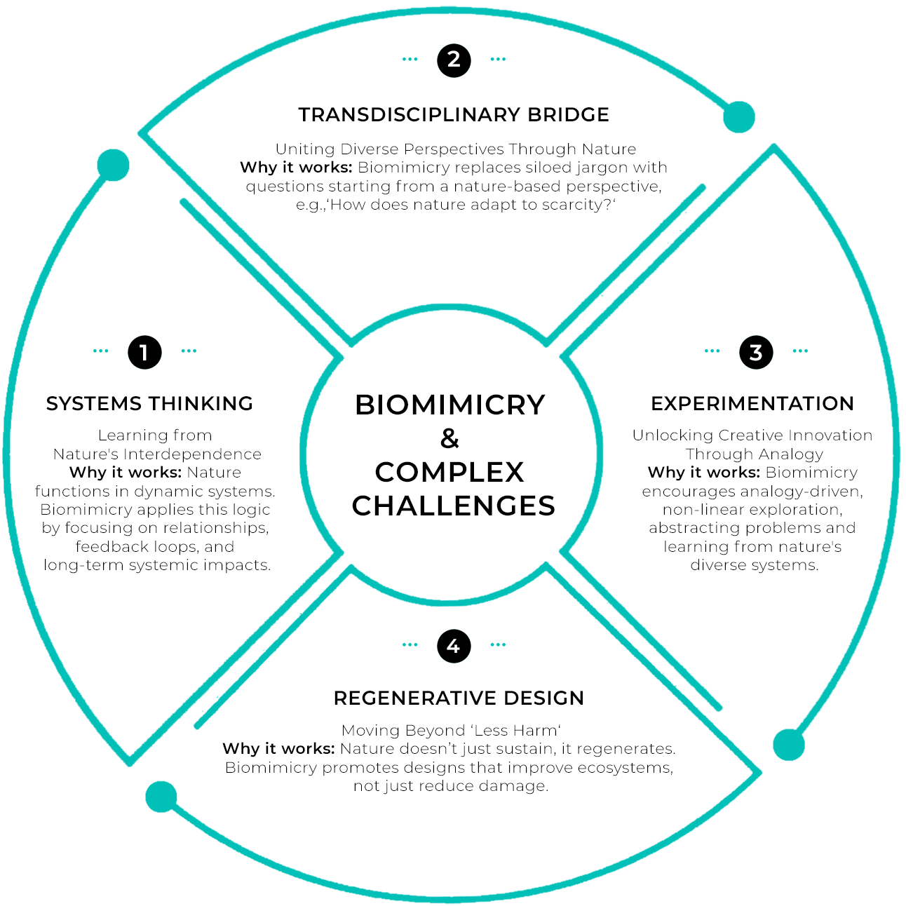 BiomimicryComplexChallenges