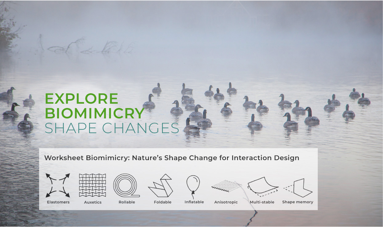 The Canada Geese by Yolanda Goulding-Leenders